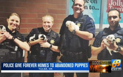 Abandoned Puppies Adopted by Tulsa Police Officers